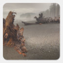 Search for olympic national park stickers Shore