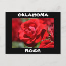 Recherche de hybride cartes postales Rose