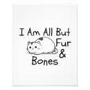 Search for all memes art Cat