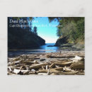 Recherche de driftwood posters Coast