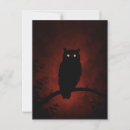 Recherche de mystérieux cartes postales Faune
