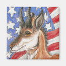 Search for pronghorn magnets Antelope