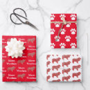 Search for rough paper Animals