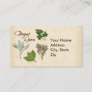 Recherche de thym cartes visite Cuisine