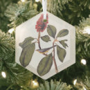 Search for audubon birds ornaments John james audubon