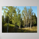 Recherche de moose posters Grand teton