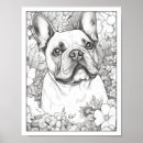 Search for cute bulldog posters French