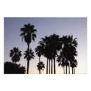 Search for peaceful scene posters Photography