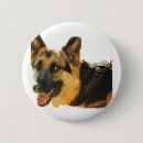 Search for german shepherd dog buttons Puppies