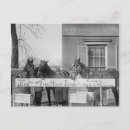 Search for equestrians postcards Retro