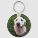 Search for golden retriever keychains Animals