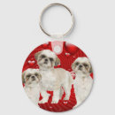 Recherche de tzu shih accessoires Amoureux de les chiens