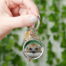 Search for hedgehog keychains Mammal