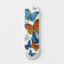 Search for monarch skateboards Orange