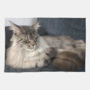 Search for cat tea towels Feline