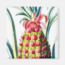 Recherche de fruits tropicaux magnets Hawaïen