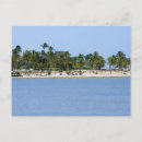 Search for sea view postcards Tree
