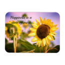 Search for sunflower magnets Green