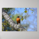 Recherche de sein rouge art Robin
