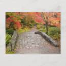 Search for arboretum postcards Fall