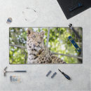 Recherche de chats jungle tapis souris Safari