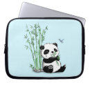 Recherche de mammifère coques Bambou