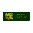Search for tiny return address labels Yellow