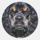 Search for cocker stickers Dog