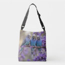Search for budgie bags Blue