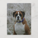 Recherche de givre cartes postales Gel
