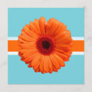 Search for orange gerbera invitations Gerber daisy