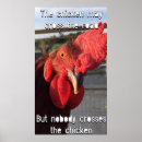 Recherche de poulet drôle posters Vie agricole