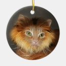 Recherche de tête de tigre ornements Félin