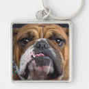 Recherche de bouledogue anglais porteclés Chien