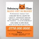 Search for orange cat Pets