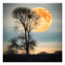 Search for bare trees posters Silhouette