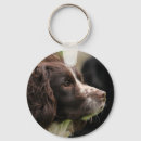Search for english springer spaniel keychains Hunting
