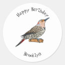 Search for flickers stickers Northern flicker