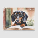 Search for dachshund tissue paper Animal