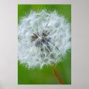Search for danita delimont posters British columbia