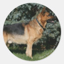 Search for deutscher schaferhund stickers Panting