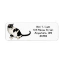 Search for tuxedo cat return address labels Kitten
