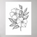 Search for black and white flower drawing posters Vintage