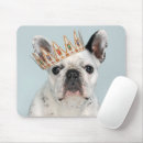 Search for purebred electronics Pets