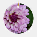 Search for dahlia flower ornaments Nature