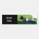 Search for milk bumper stickers Cow