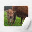 Recherche de veau vache tapis souris Ranch
