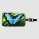 Recherche de morpho Animal