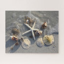 Recherche de trésor puzzles Dollar de sable