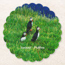 Search for puffin coasters Nature